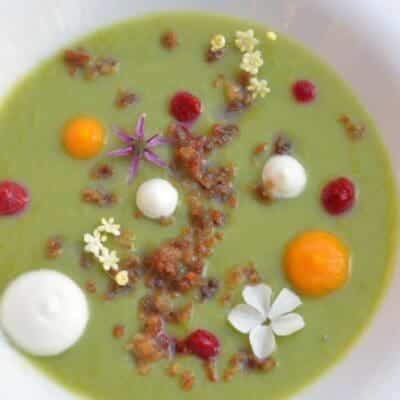 Vegan cream of asparagus soup: the perfect recipe, recipes with flowers
