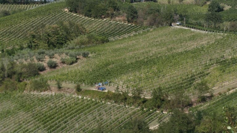 Commento e degustazione dei vini biologici della cantina di Maria Galassi.