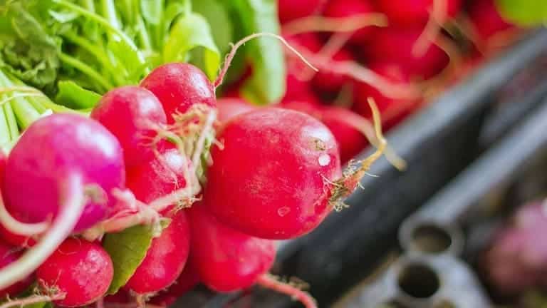 Ravanelli, ingredienti per insalatona estiva leggera e sfiziosa