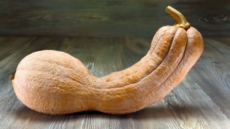 Zucca violina, ricette dolci con la zucca, torta di zucca con amaretti mandorle