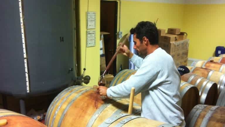 Italinan wine regions: Emilia Romagna. Do you want to visit the best wineries?