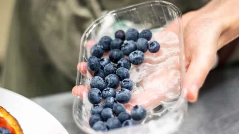 Mirtilli frutti di bosco ingredienti per cheesecake americana ai frutti di bosco