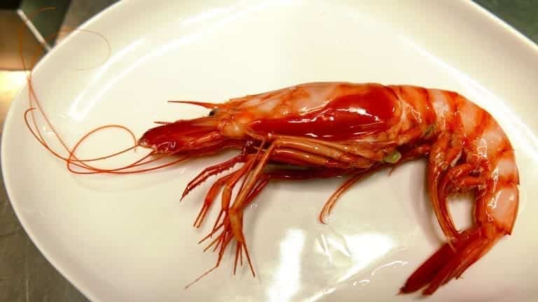 Fresh red shrimp, recipes with fresh shrimp, risotto with shrimps and zucchini