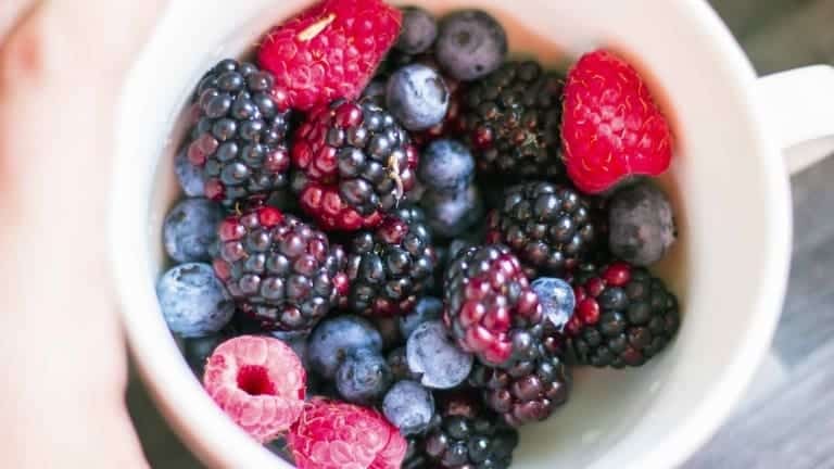 Wild berries, blueberries, cocktails with blueberri and raspberries, recipes