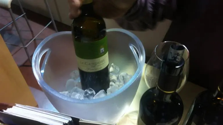 Degustazione e commento dei vini della cantina il Pratello. Bioviticultori.