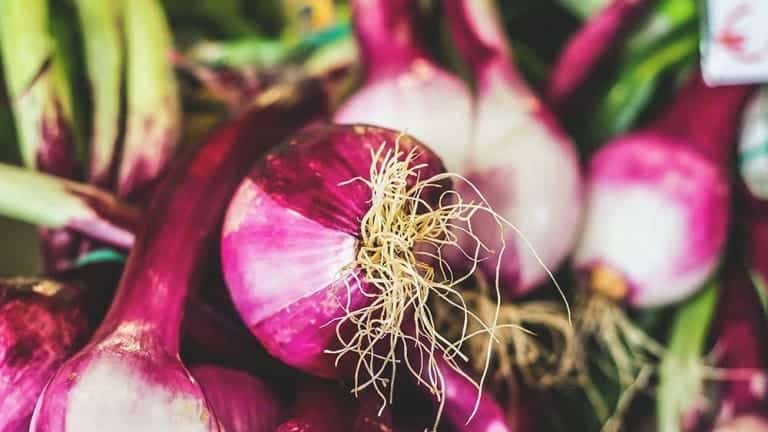 Cipolla rossa di Tropea, ricette estive con cipolla Tropea, insalata di avocado