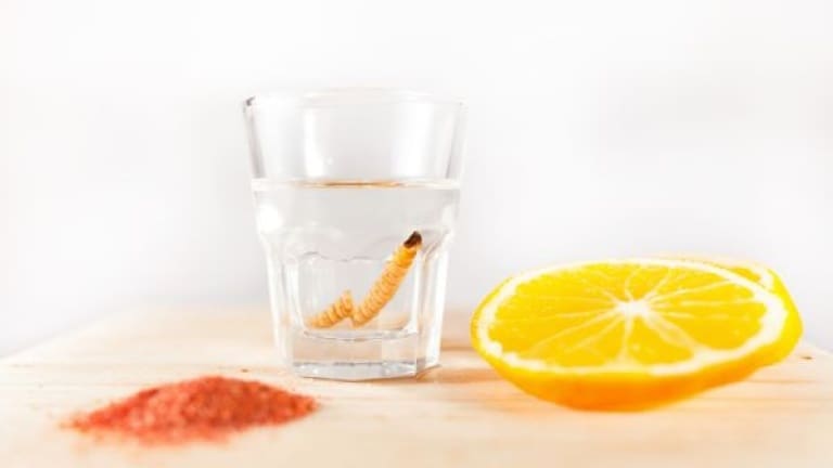 Union's 2024 Forecast: Agave Spirits Rise as Millennials Embrace Premium, Non-Alcoholic Options