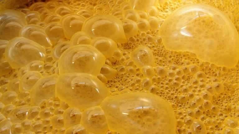 Fermentation of sugar cane molasses, how is rum made fermentation & distillation