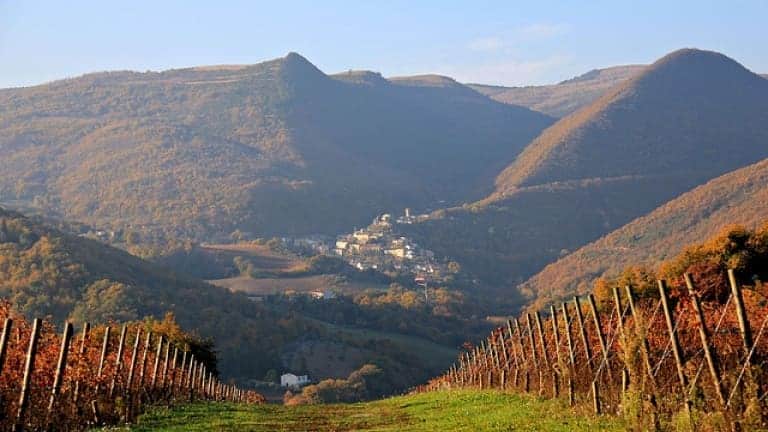 Vigneti tra le montagne a Serrapetrona. Itinerari di gusto tra vigne e montagna.