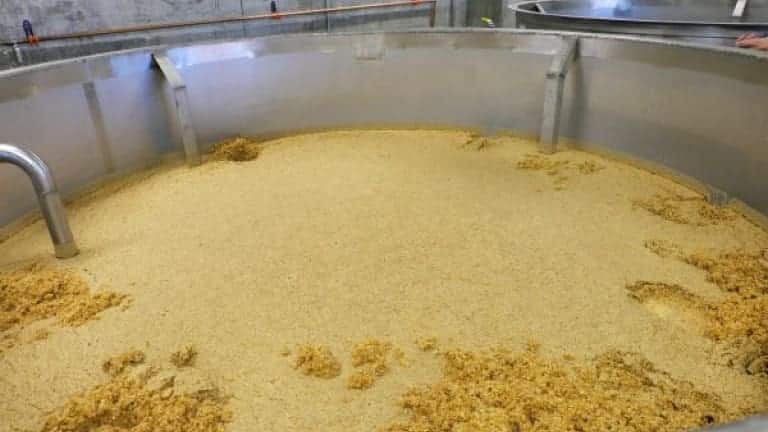 Mash bill che cos'è, cosa significa, quali cereali si usano per produrre whiskey