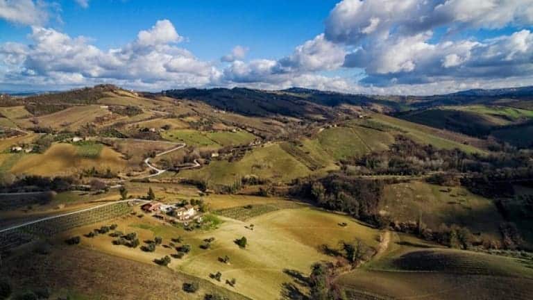 Hills of Matelica, vineyards in the Marche, guide to the best Italian wines