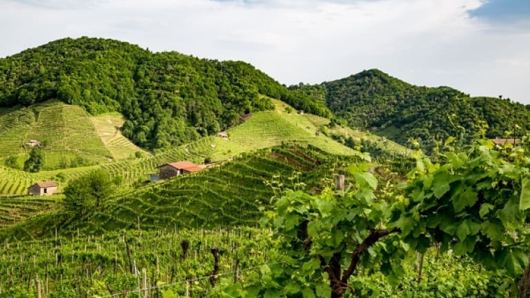 Prosecco di Conegliano e Valdobbiadene, zona di produzione del Prosecco