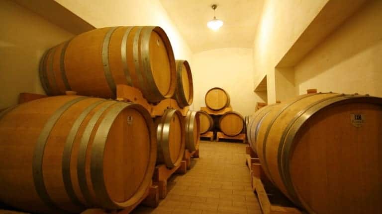 Botti di rovere per l'affinamento del vino. Vini tipici delle Marche. Rio Maggio