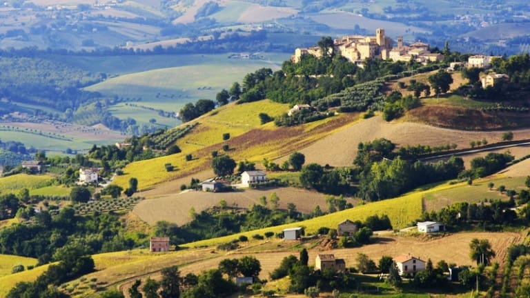 Degustazione e visita della cantina Rio Maggio. Vendita online vini delle Marche