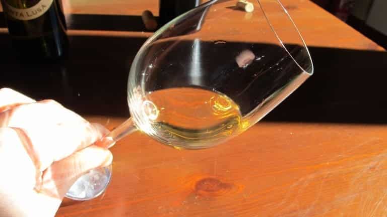 Ancarani di Ravenna informazione, scheda della cantina, vini e vendita online