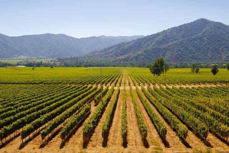 10-Day Wine, Hiking, and Food Tour in Chile, the best travel in South America