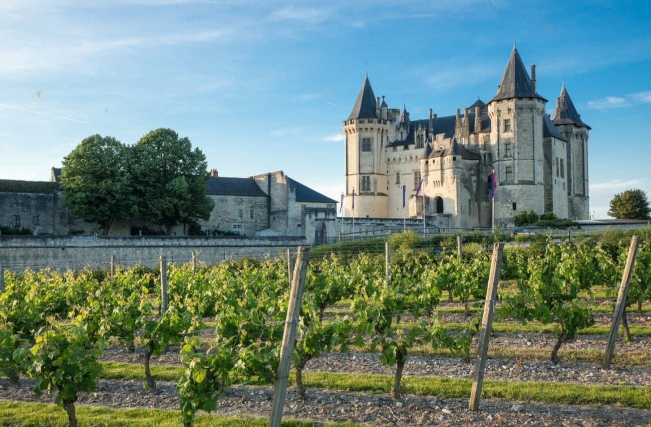 Loire Valley wine map and producing zone, grape varieties, wineries