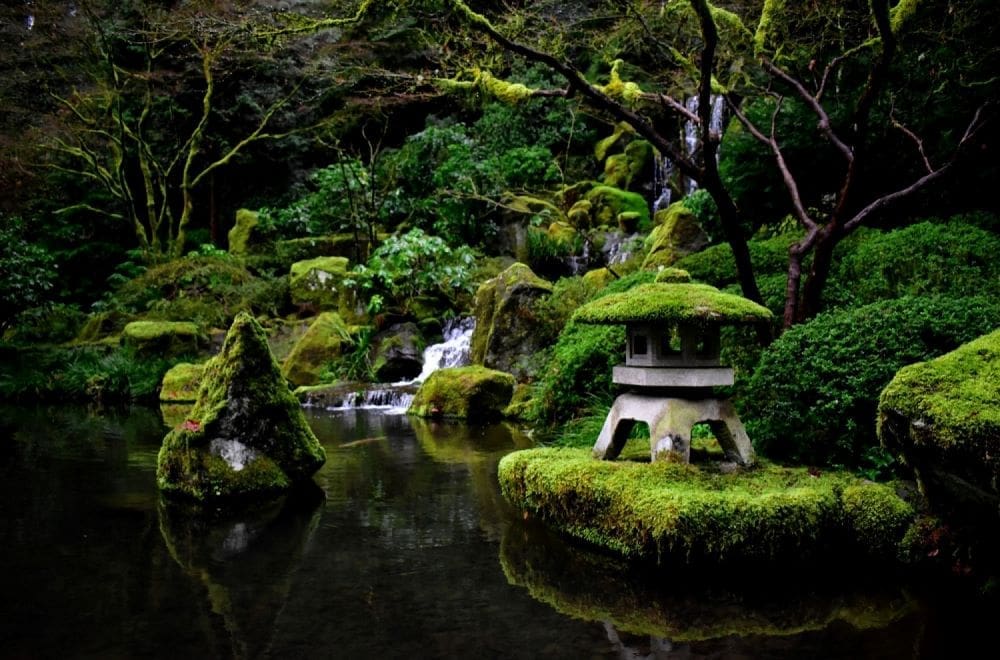 Avoiding Cultural Faux Pas in Japan A Beginner's Guide to Etiquette