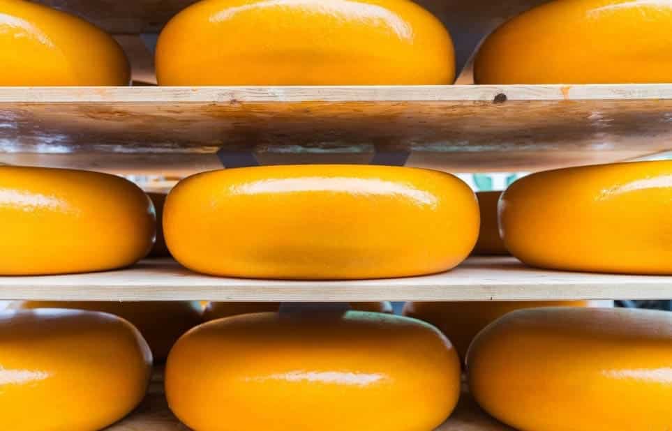 Cuscino In Lino Gift Base – 40x40 Cm – Scherzo Formaggio Halloumi & Gouda – Fodera Senza Imbottitura