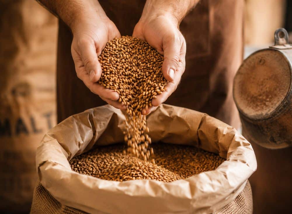 Best bitter beer how is made