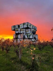 Best wineries in McLaren Vale d'Arenberg