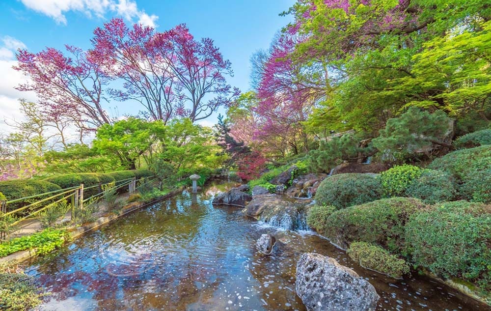 Best Japanese place in Rome, Tranquility in Rome, The Institute's Japanese Garden