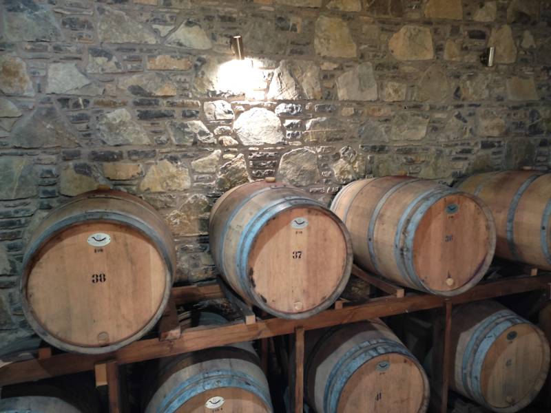 Philosophy of the Ariousios winery