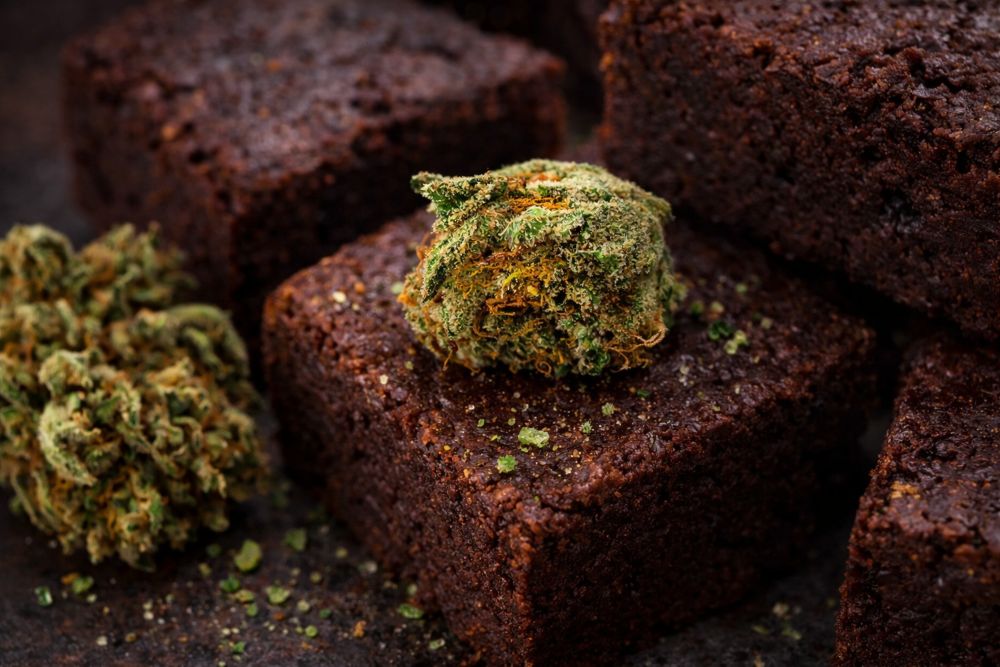 Space Cake: come nasce il dolce simbolo della cultura dei coffee shop olandesi