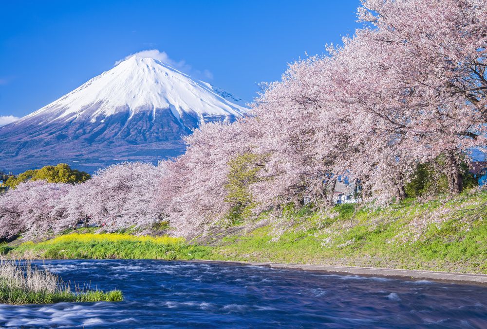 Where Is Fuji Gotemba distillery in Japan