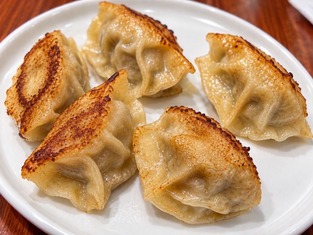 Best Chinese dumplings in Milan