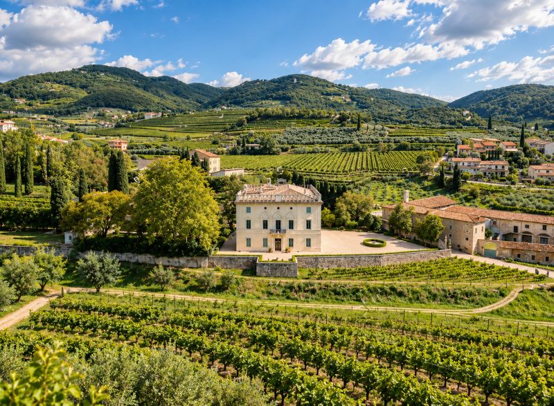 Tenute e cantine in Valpolicella da visitare per fare degustazione di vino